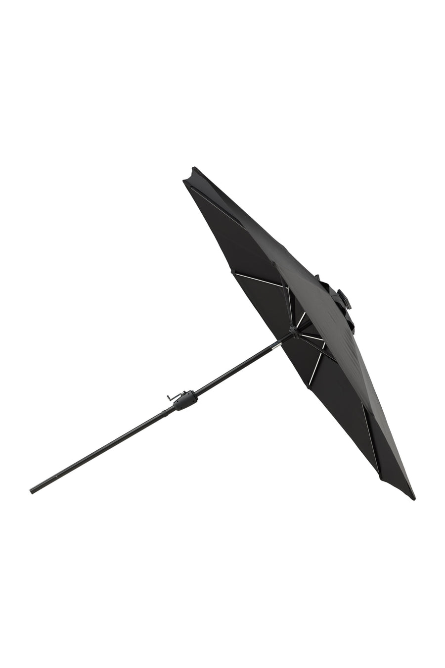 Sabal Parasol 