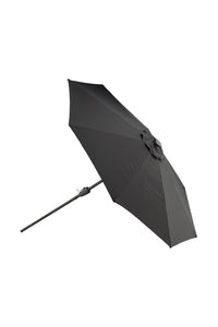 Sabal Parasol 