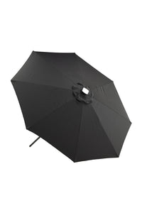 Sabal Parasol 