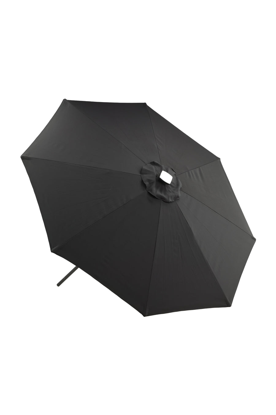 Sabal Parasol 