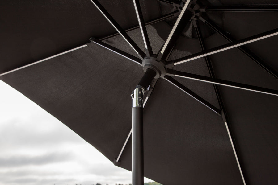 Sabal Parasol 