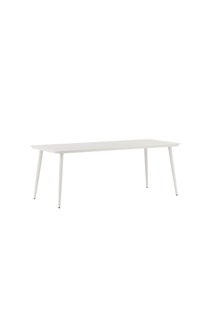 Lina Tafel 