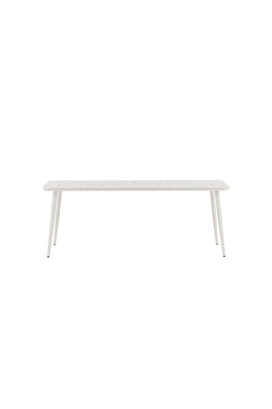 Lina Tafel 