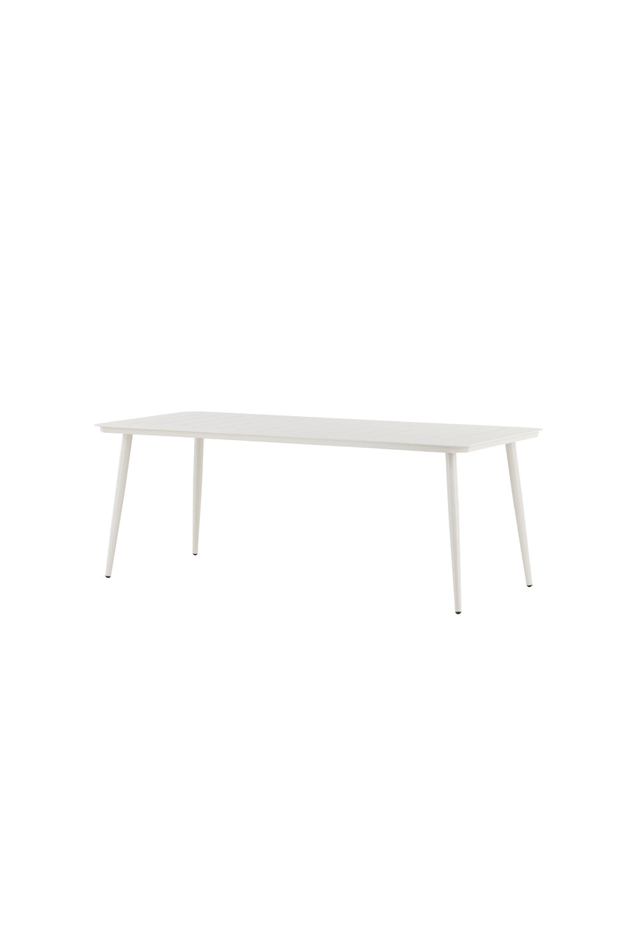 Lina Tafel 
