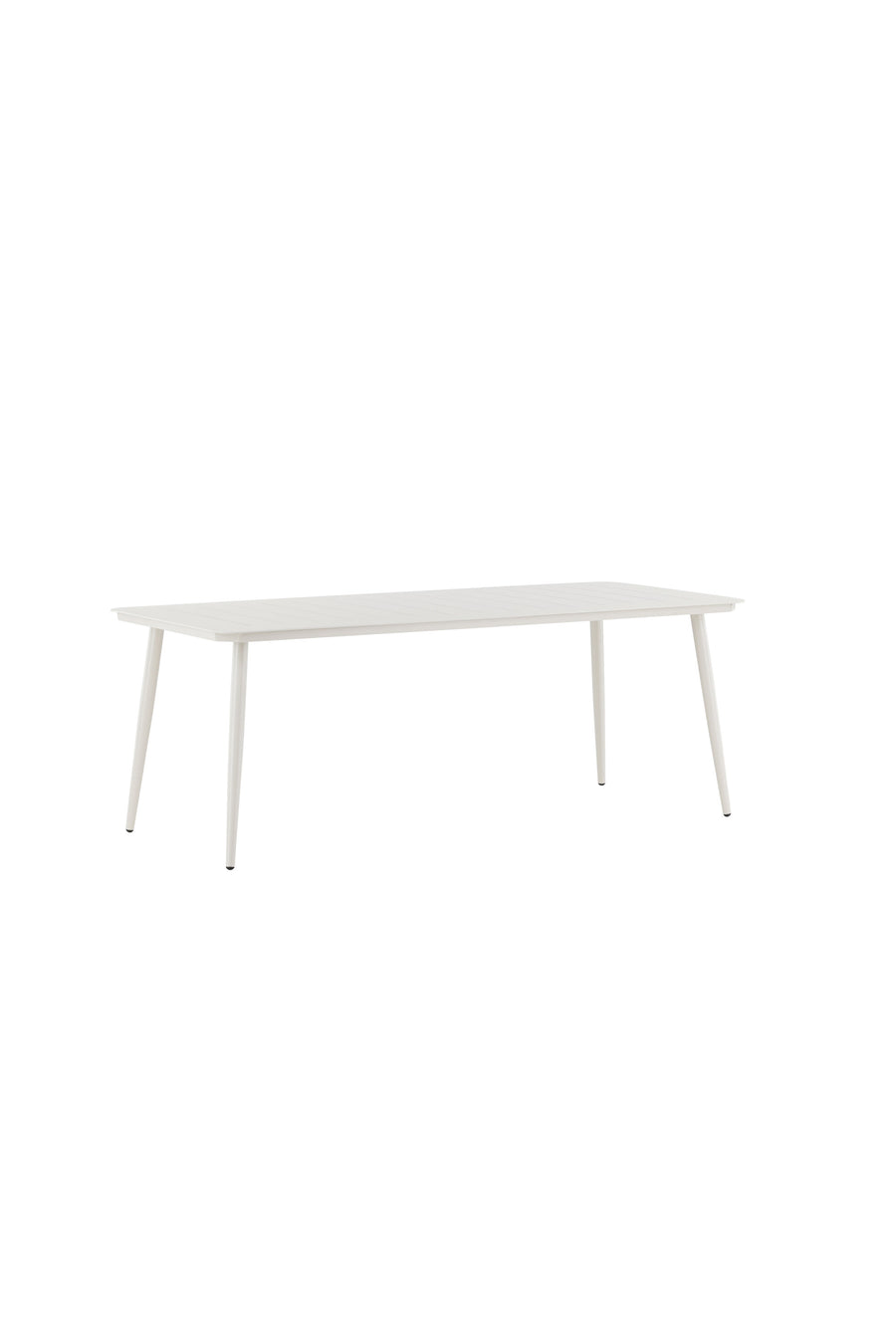 Lina Tafel 