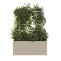 Spalier voor buitenpot ROS