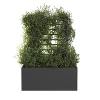 Spalier voor buitenpot ROS