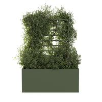 Spalier voor buitenpot ROS