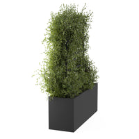Spalier voor buitenpot ROS