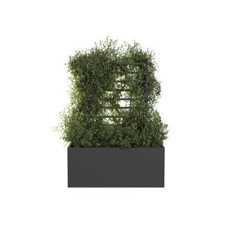 Buitenpotten in verschillende kleuren