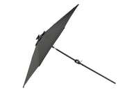 Sabal parasol