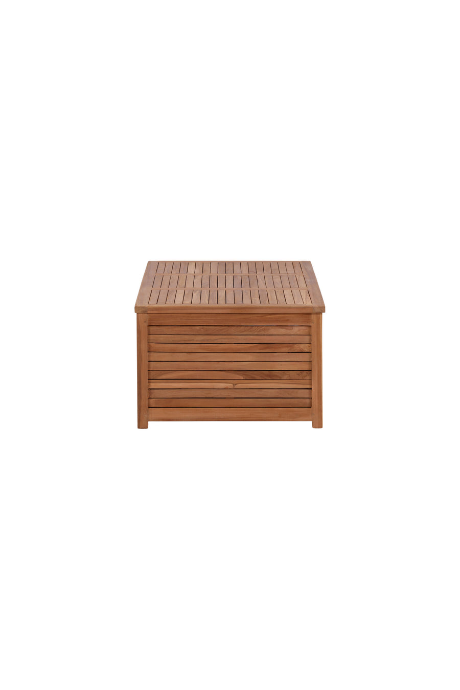 Trento Dynbox 