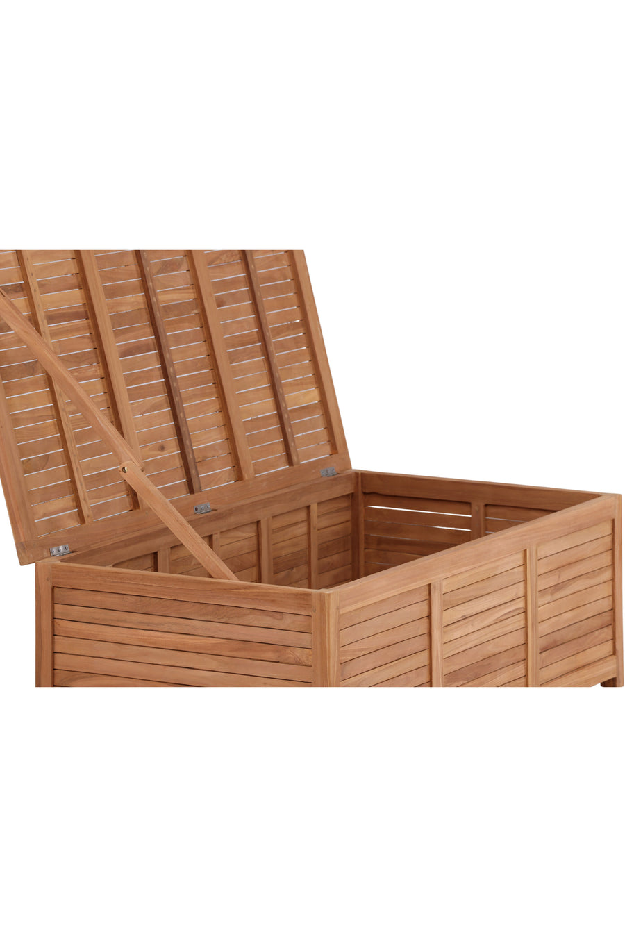 Trento Dynbox 