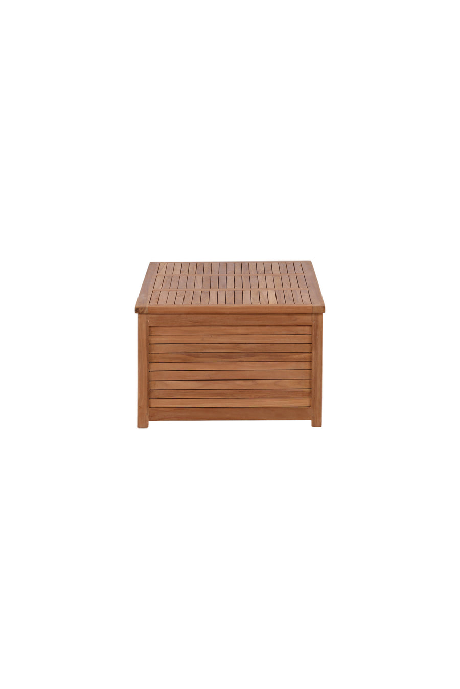 Trento Dynbox 