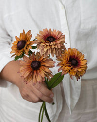 Zomer rudbeckia zaden