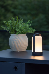Fern Tafellamp 