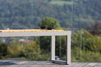 Zenia bank 100cm - acacia / zink