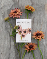 Zomer rudbeckia zaden