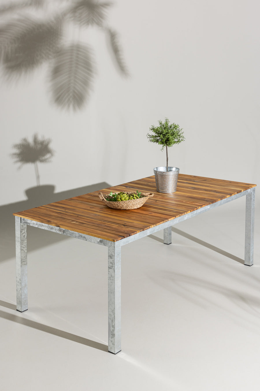 Zenia Tafel 