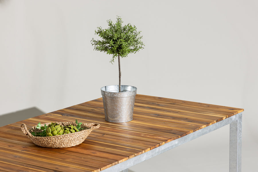 Zenia Tafel 