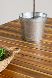 Zenia Tafel 