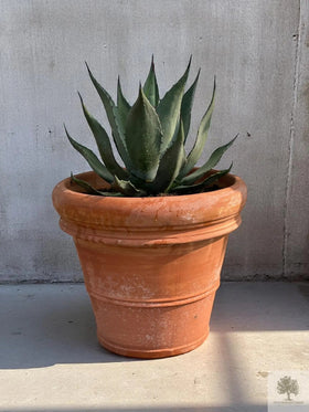 Terracotta pot - Toscane - 40 cm diameter - 35 cm hoogte 
