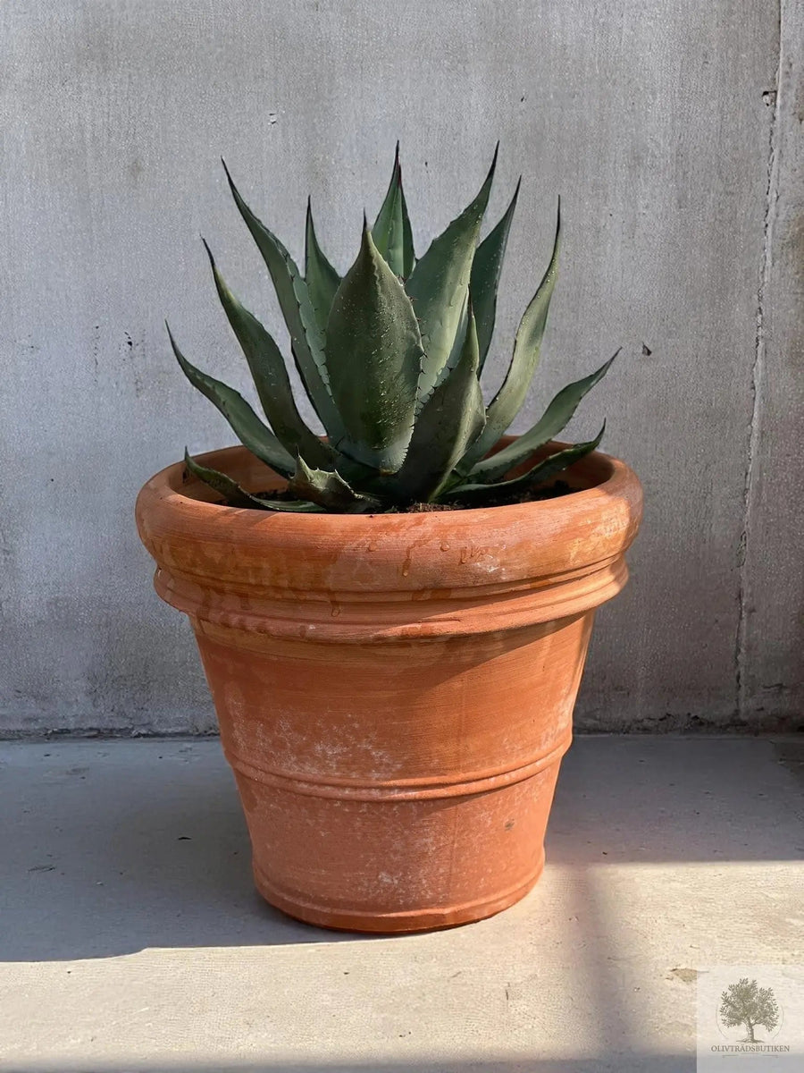 Terracotta pot - Toscane - 40 cm diameter - 35 cm hoogte 