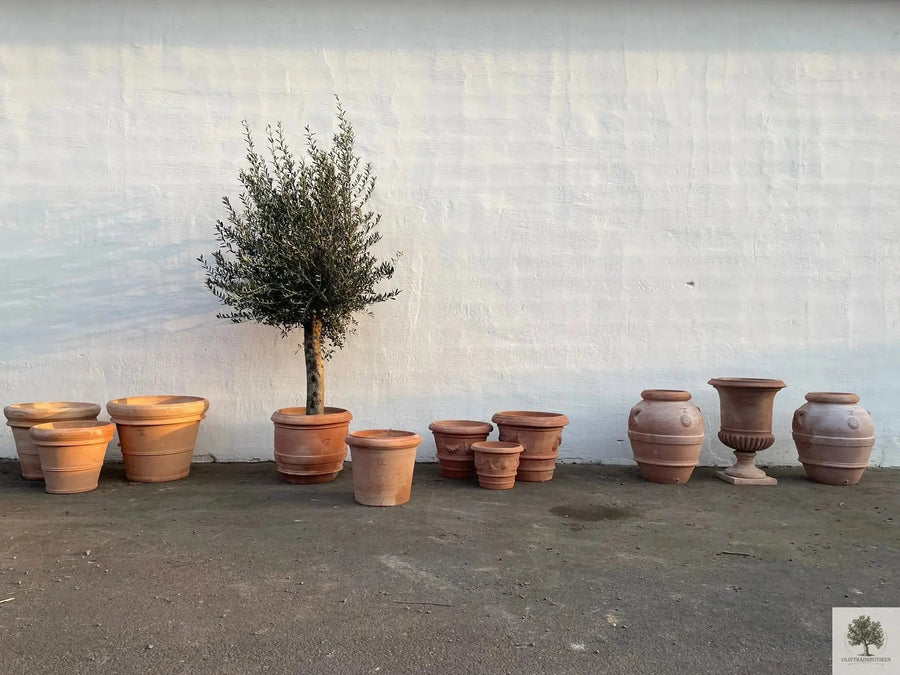 Pot Terracotta - Impruneta Garland - 70 cm diameter - 53 cm hoogte 
