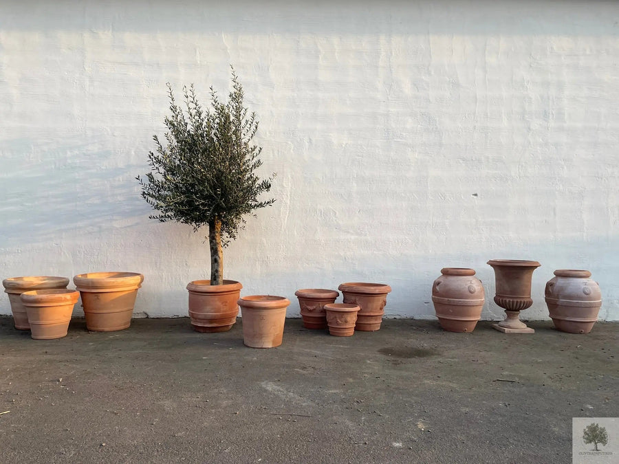 Terracottapot - Toscana - 100 cm diameter - 82 cm hoogte 
