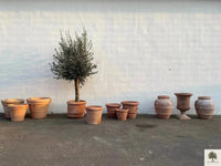 Terracotta Pot Toscane - 50 cm diameter - 41 cm hoogte 