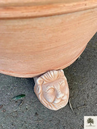 Terracotta Pot Toscane - 50 cm diameter - 41 cm hoogte 