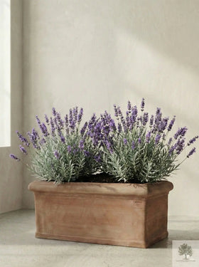 Terracotta pot - Rechthoekig - 81 cm lengte - 41 cm breedte - 35 cm hoogte 