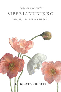 Colibrivallmo Ballerina Dreams zaden
