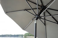 Sabal parasol