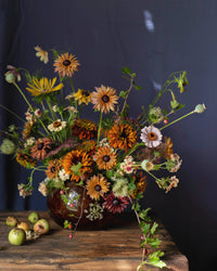 Zomer rudbeckia zaden