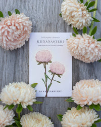 Zomeraster Chrisantella Lotos zaden