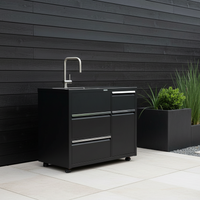 CAYENE buitenkeuken Wasmodule