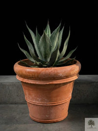 Terracotta pot - Siena - 40 cm diameter - 35 cm hoogte 